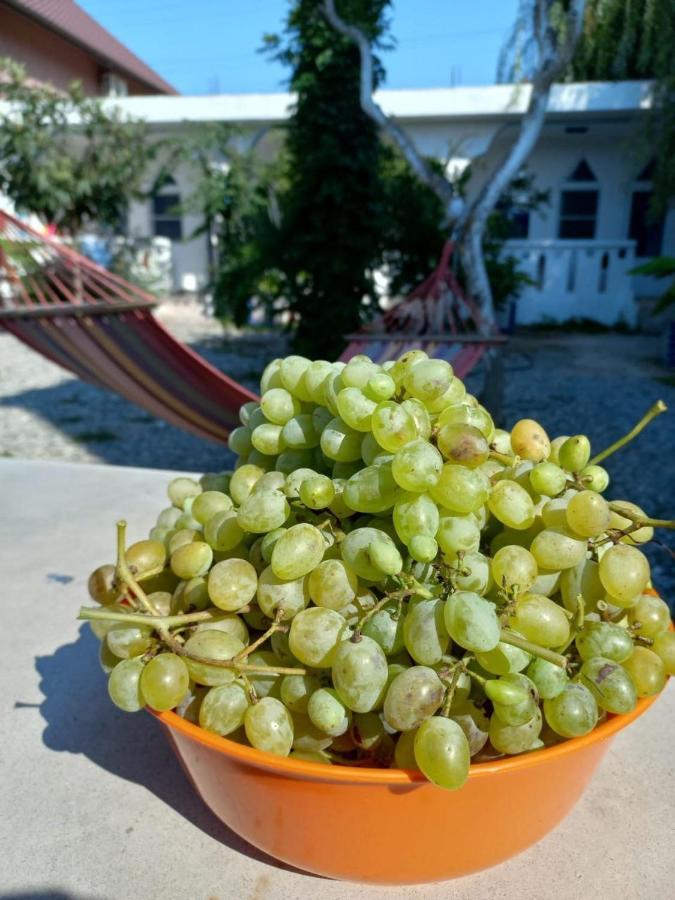 Бунгало Мини Отель, Пицунда , Лдзаа 외부 사진